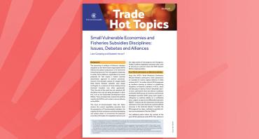 Small Vulnerable Economies and Fisheries Subsidies Disciplines