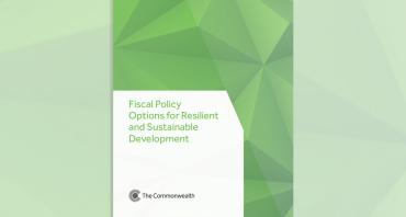 Fiscal Policy Options for Resilient and Sustainable Development