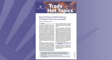 Beyond Trade and GDP
