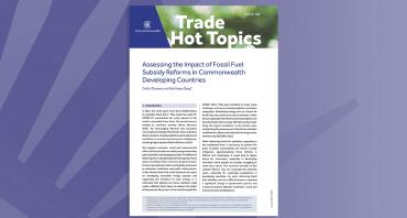 Assessing the Impact of Fossil Fuel Subsidy Reforms in Commonwealth Developing Countries