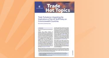 Trade Turbulence: Unpacking the Implications of the US Tariff Policy on Commonwealth Countries