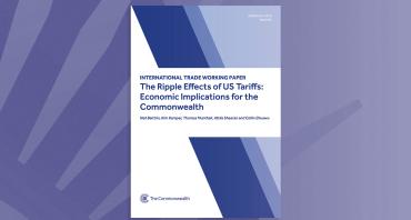 The Ripple Effects of US Tariffs
