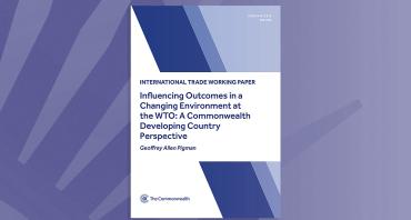 Influencing Outcomes in a Changing Environment at the WTO