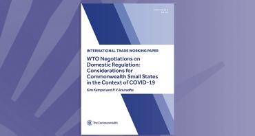 WTO Negotiations on Domestic Regulation