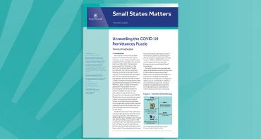 Unravelling the COVID-19 Remittances Puzzle