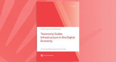 Taxonomy Guide: Infrastructure in the Digital Economy