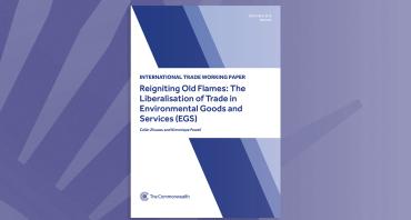 Reigniting Old Flames: The Liberalisation of Trade in Environmental Goods and Services