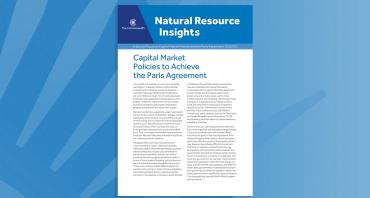 Capital Market Policies to Achieve the Paris Agreement