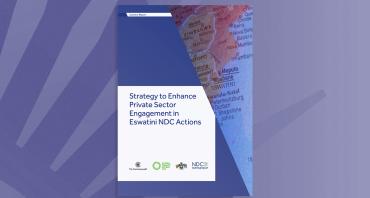 Strategy to Enhance Private Sector Engagement in Eswatini NDC Actions
