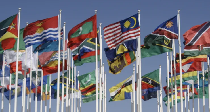 flags